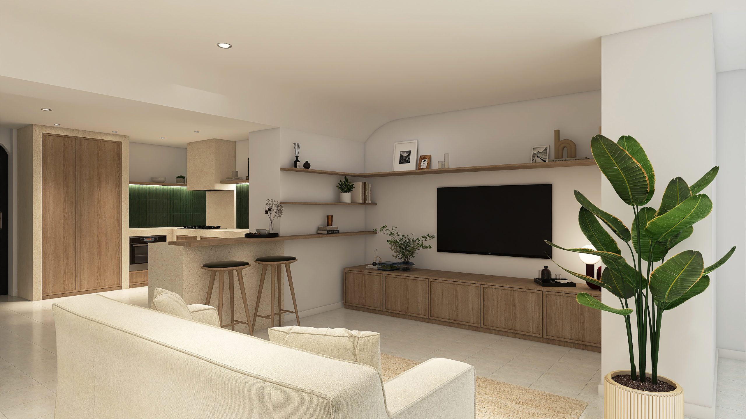 CCD_Render 2